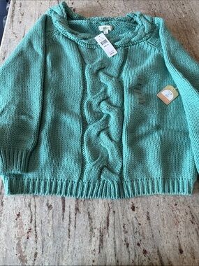 Taylor & Sage Mint Cable-Knit Scoop Neck Sweater NWT